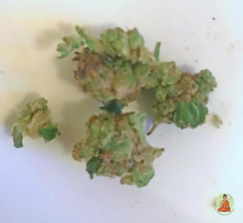 Tahoe Hydrophonics Wedding Pie