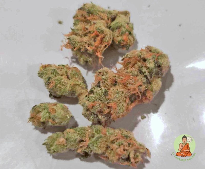 Virtue GojiOG Virtue GojiOG