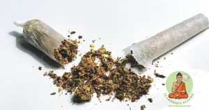 Nevada Made Marijuana #9