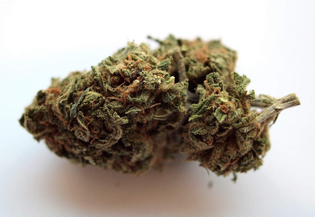 Kimber, Medical Marijuana