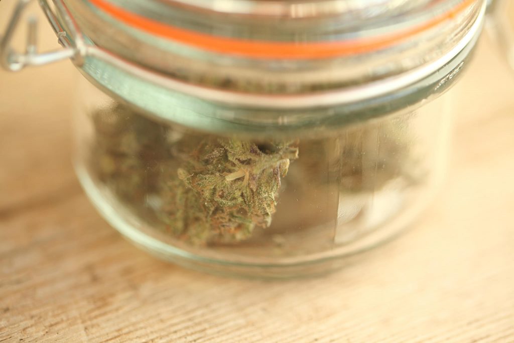 Medical cannabis marijuana in a glass jar