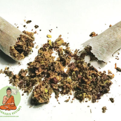 Nevada Made Marijuana #9