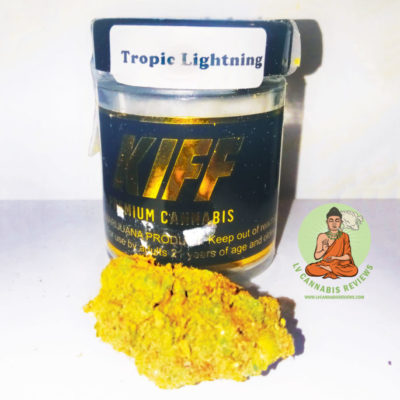 Tropic Lightning – Hybrid by Blackjack