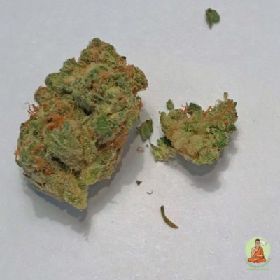 Jazz x Space Dude by Chong’s Choice