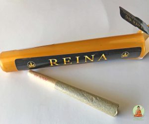 Papaya Packaging and PreRoll