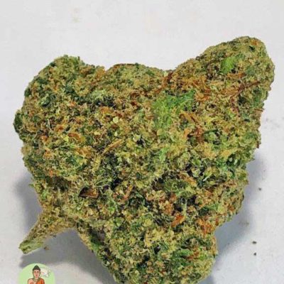 Jack Herer