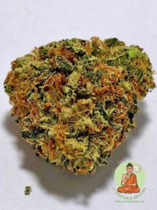Skywalker OG Kannabis