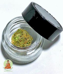 Mimosa Packaging Mimosa Packaging