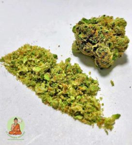 Mimosa White Lebel Mimosa White Lebel