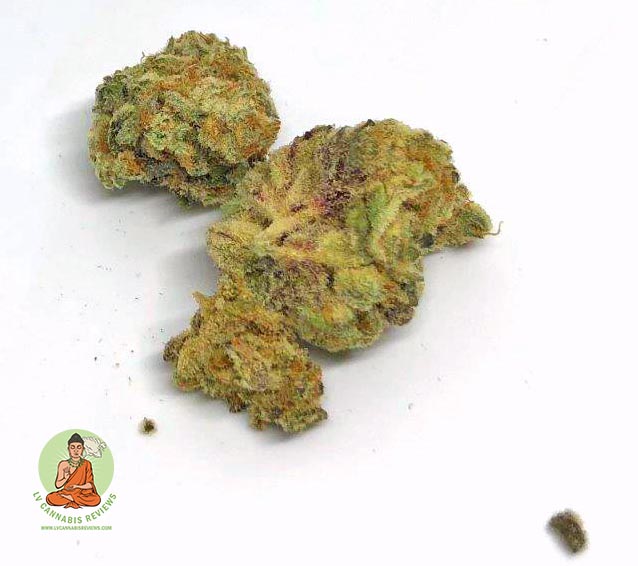 Shango Black Flag Shango Black Flag