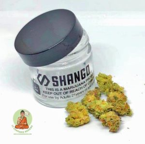 ShangoBurnieMacandPackaging