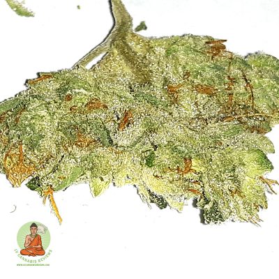 Kosher Tangie Flower