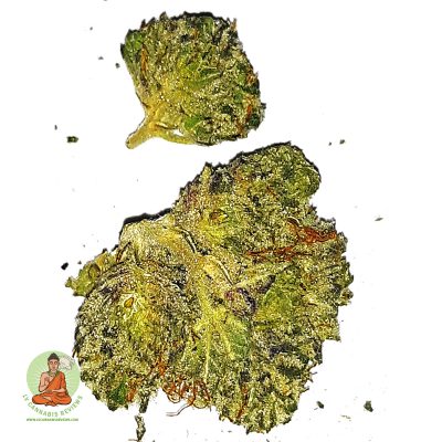 Nepalese Kush Flower