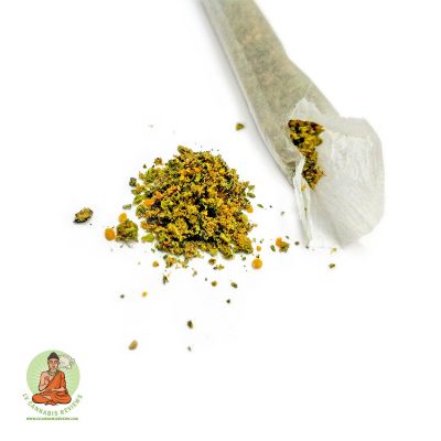 Blue Dream Motivator Infused Pre-Roll