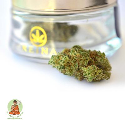Haze
