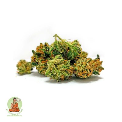 Mango Tango