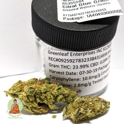Citral Glue