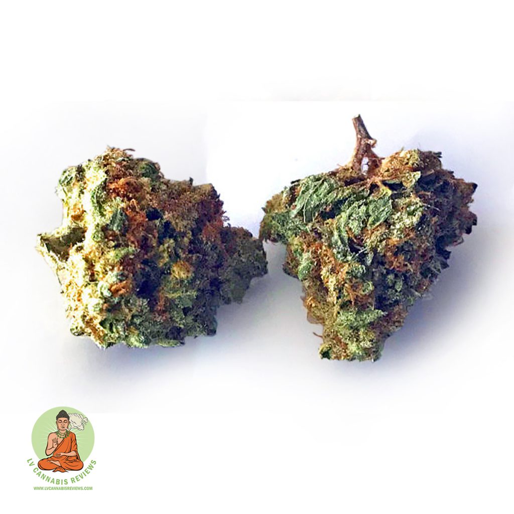 ghb-cultivation-labs-bruce-banner