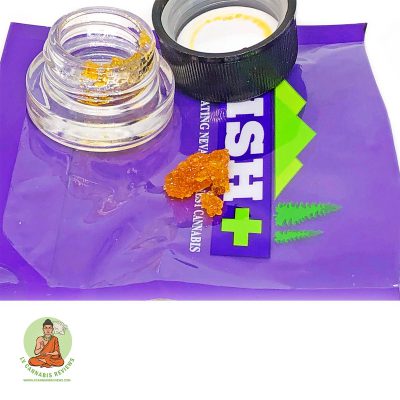 Cement Shoes Live Resin