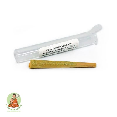 Sugar Biscuits Golden Lemons Infused  PreRoll