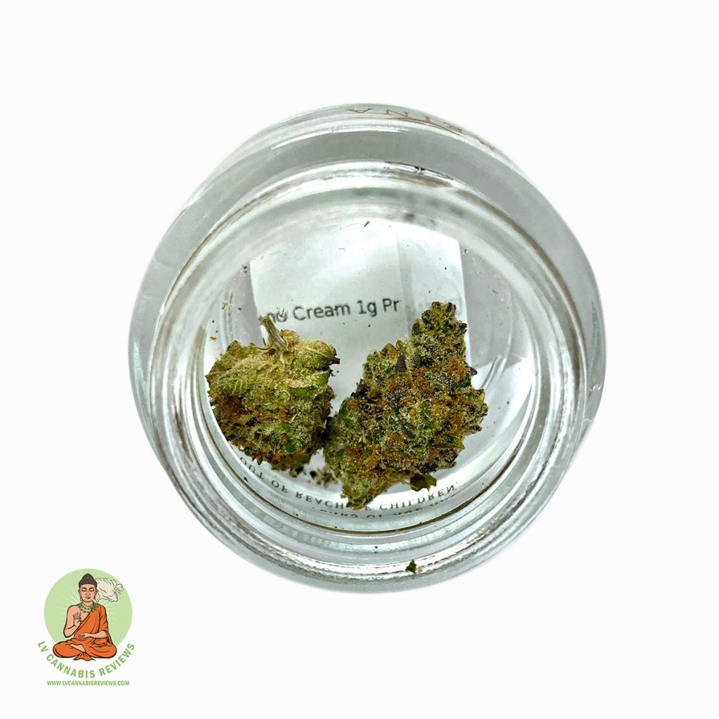 Reina Cookies and Cream Review December 2019 Planet 13 Las Vegas Dispensary