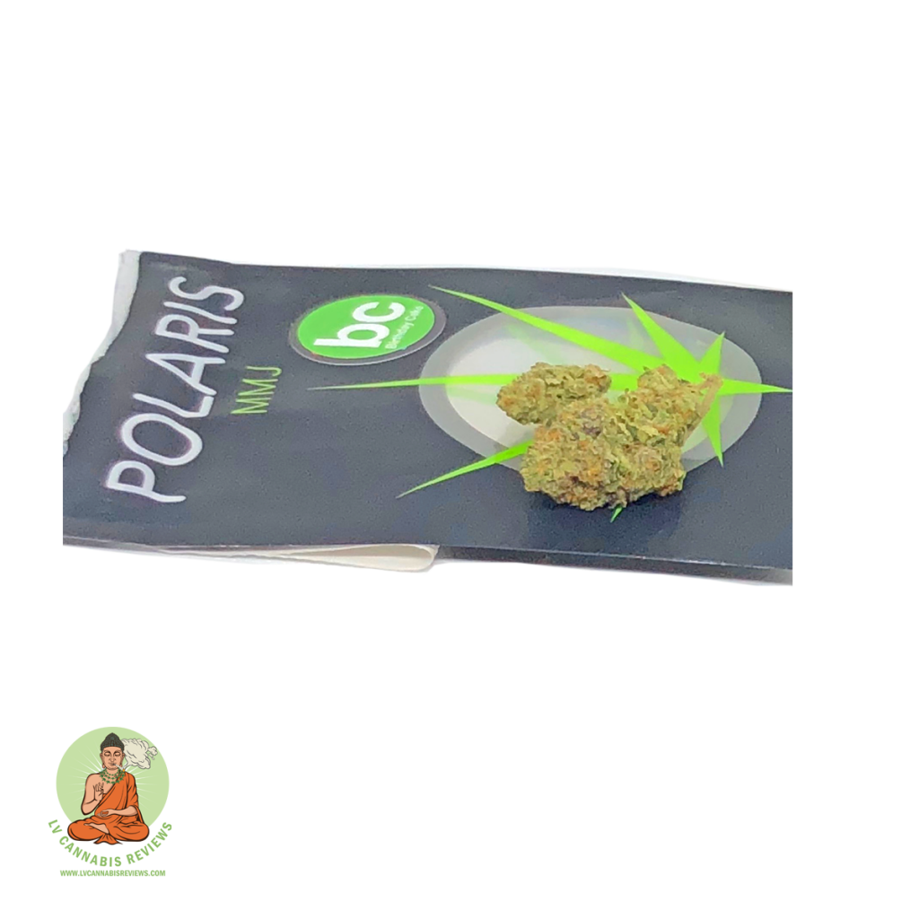 BirthdayCake_Polaris_MMG_ShowGrow_Mayfield2