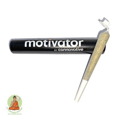 Island Sweet Skunk Motivator