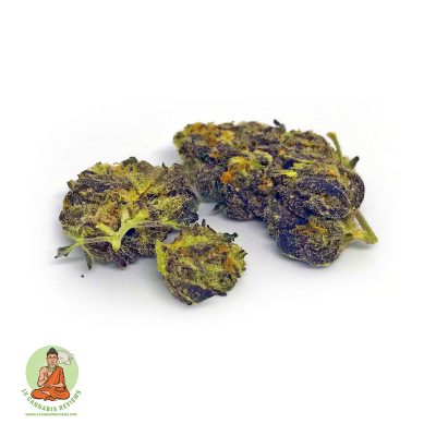 Royal Highness