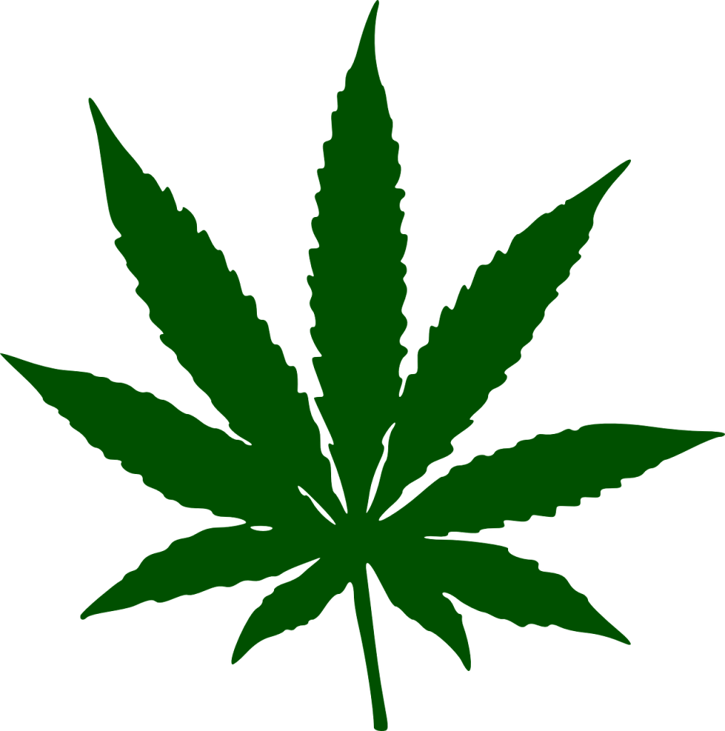 marijuana, leaf, drug