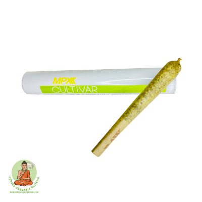Blueberry Shortcake 1g Preroll
