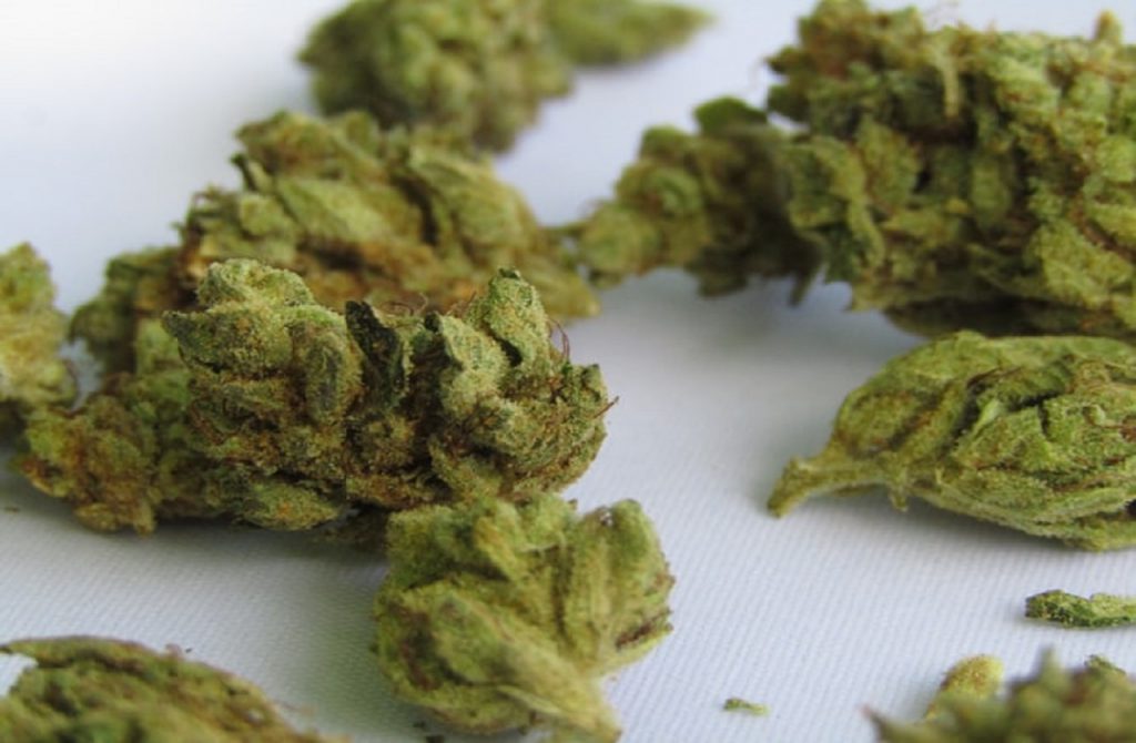 How-Cannabis-Can-Help-Spinal-Injuries-3