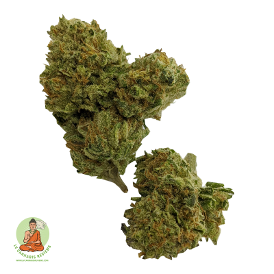 White Rhino