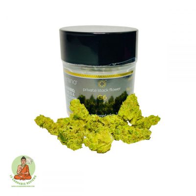 G6 Flower