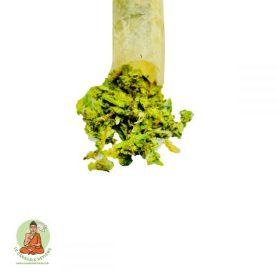 Banana Kush Cake | Hybrid | Review | Jardin