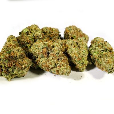 Barbie Kush Indica