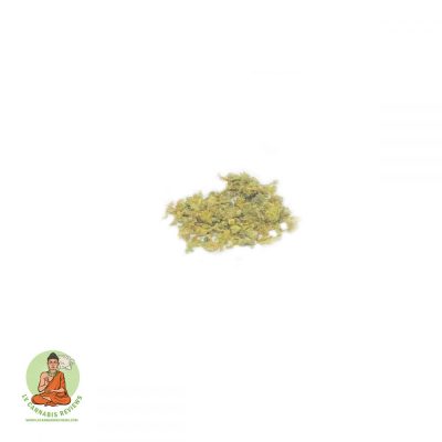 PROMO RUNTZ | Hybrid | Review | Jardin
