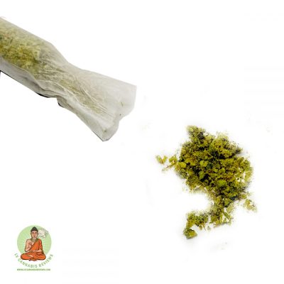 GARLIC BANANA | Hybrid | Review | Jardin